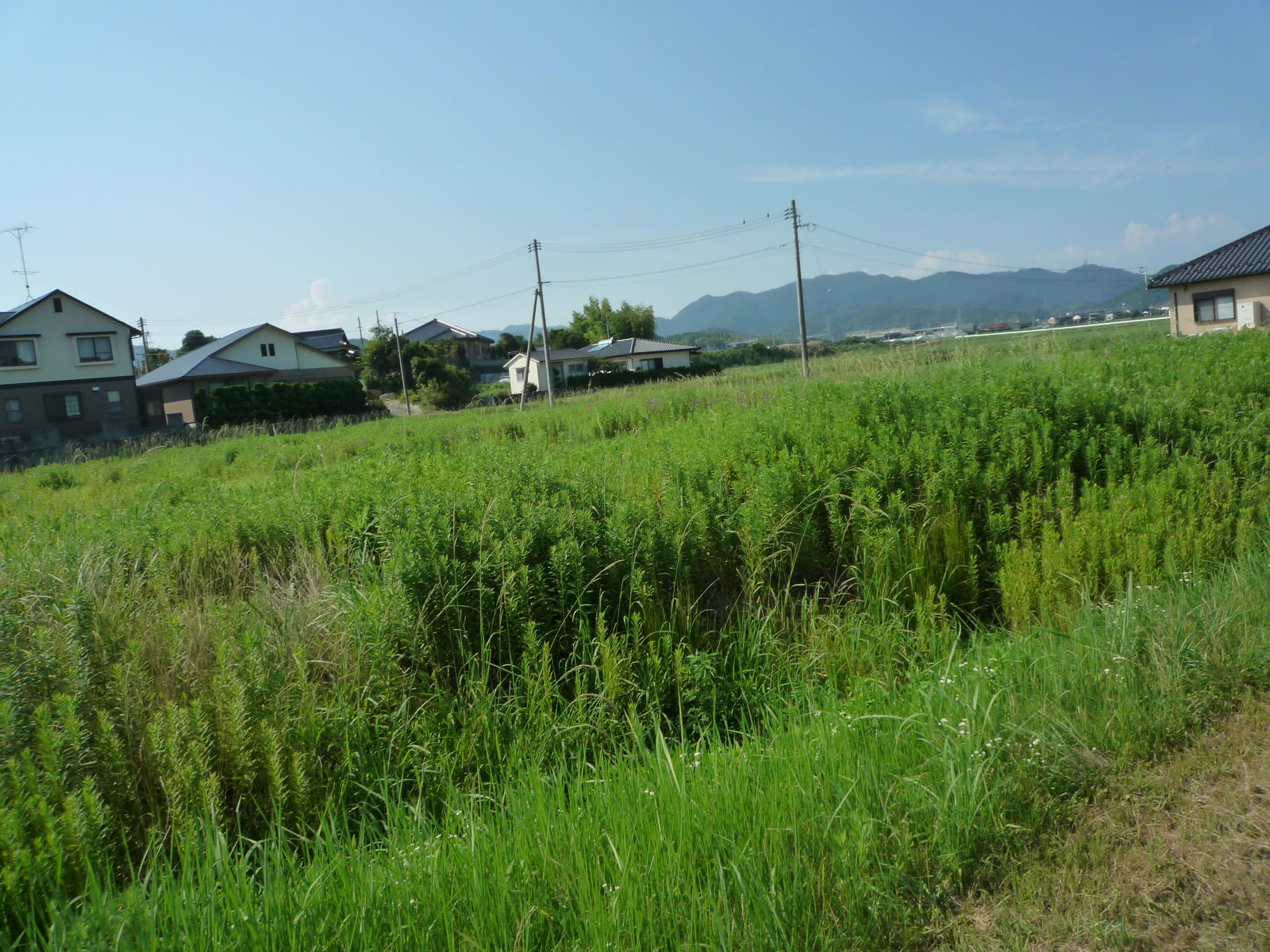 ◎事業用◎　山口市嘉川　売地の外観