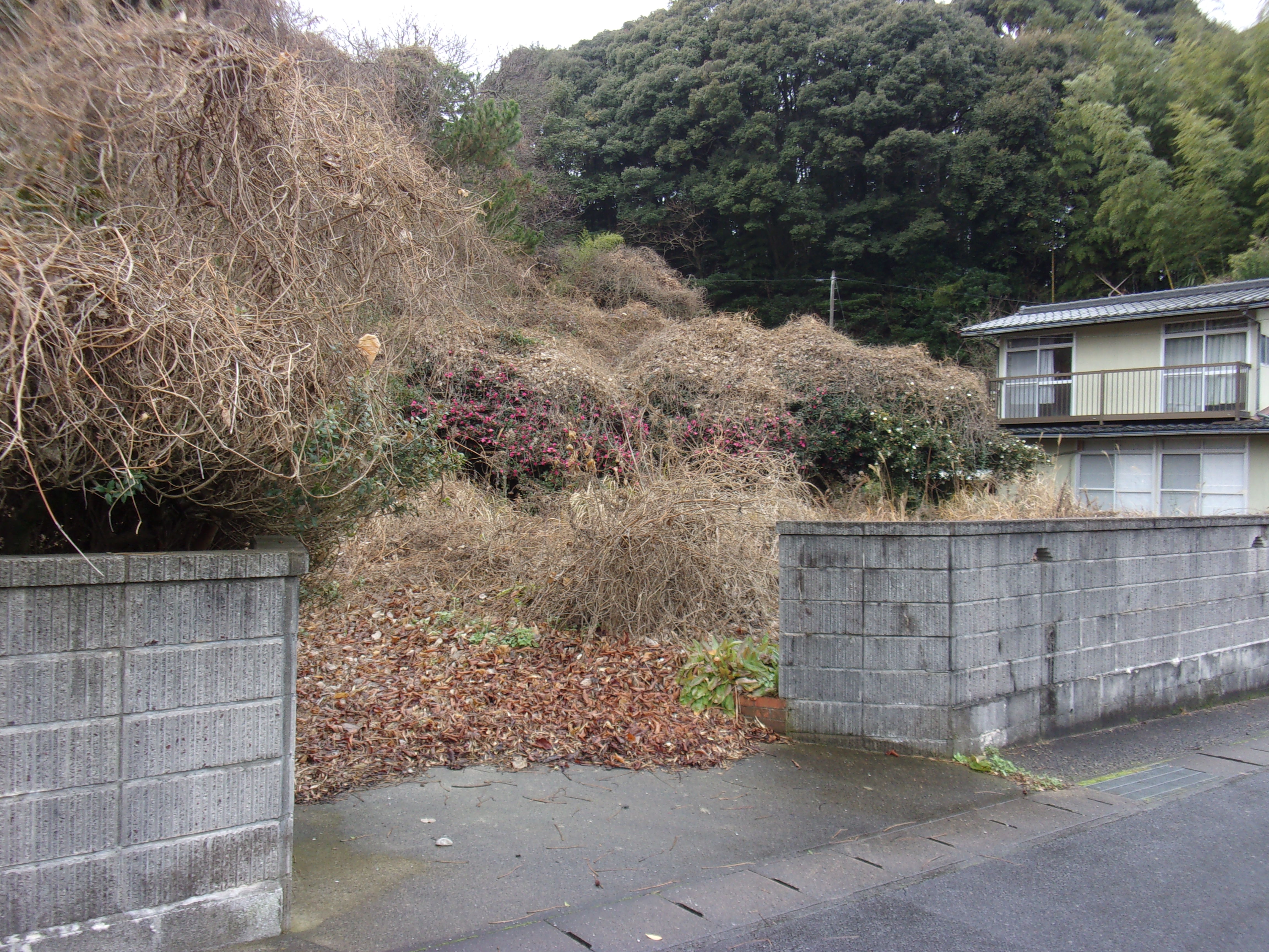 川上　売地の外観